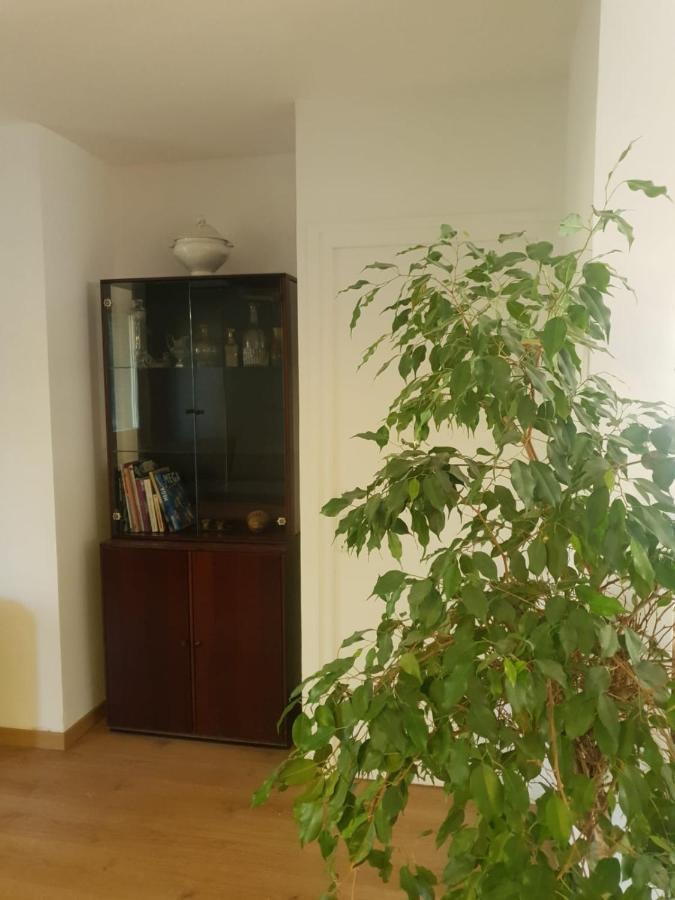 Appartement Cosy Parc Thermal Thonon-les-Bains Exterior foto